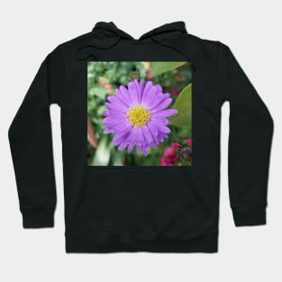 Purple Aster Hoodie